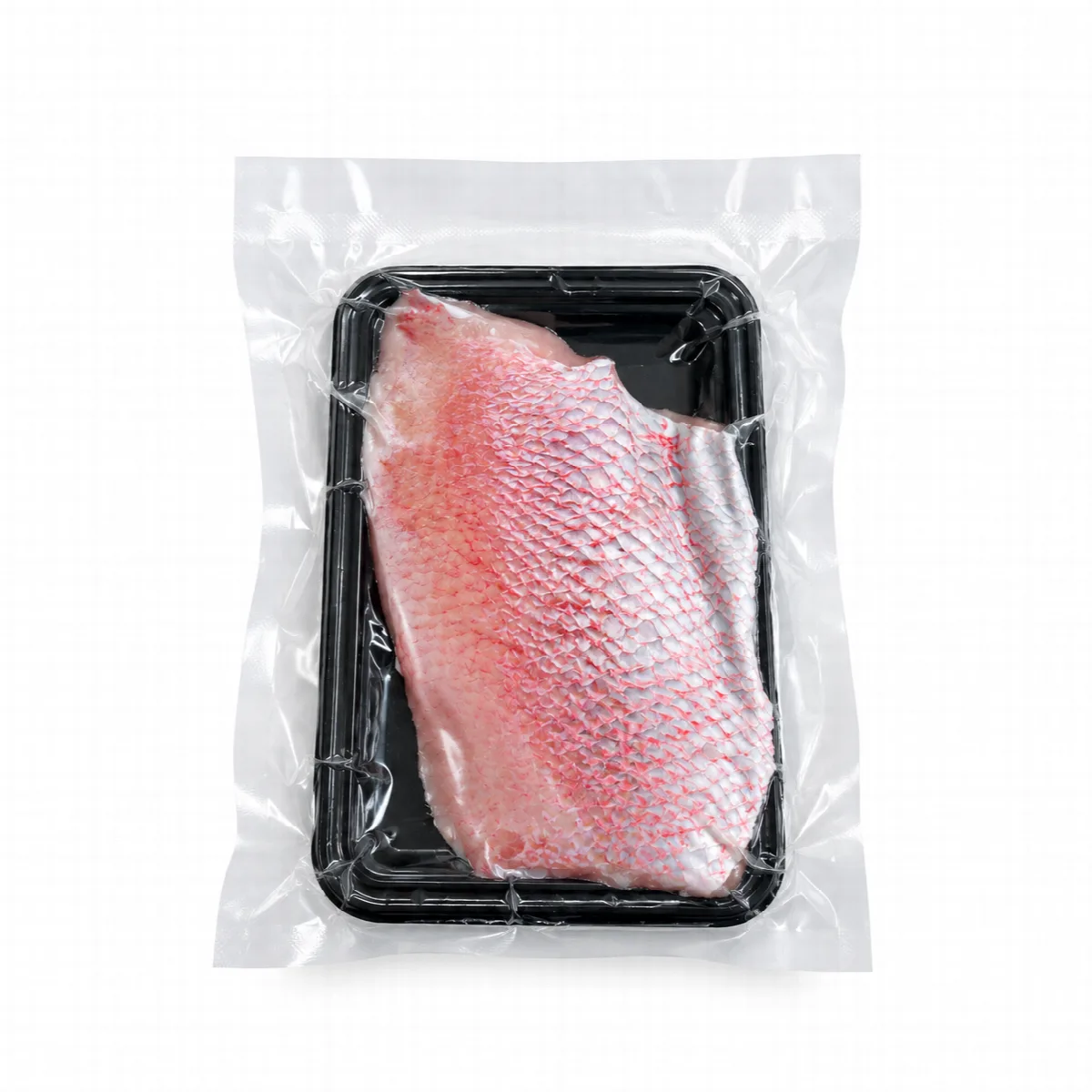 Ikan Kakap Merah Fillet 
